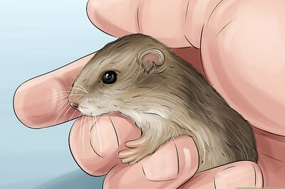 How to Ship Live Animals