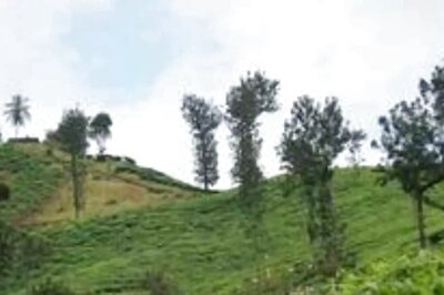 Here's How Chikmagalur's Famous Coffee Reaches Your Cup