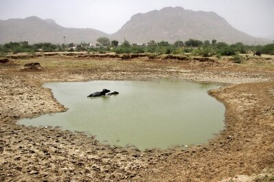 Rajasthan to hold Kharif crop loan distribution camp on July 4