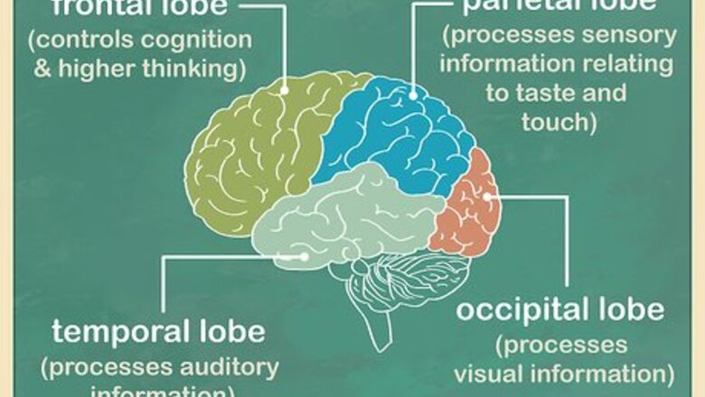 How to Study the Brain