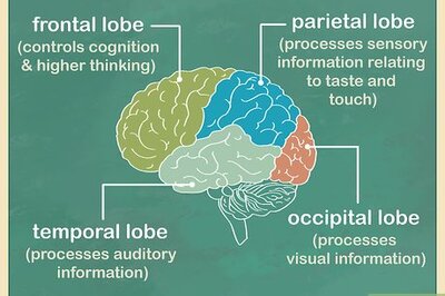 How to Study the Brain