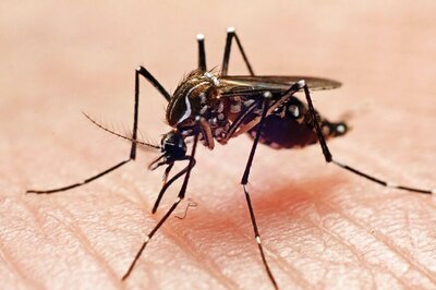 Chikungunya Claims 12 Lives, Centre seeks report from Delhi government