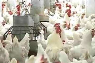 Bird flu confirmed in WB, 3.5 lakh fowls to be culled