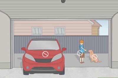 How to Get a Hummingbird Out of the Garage Fast