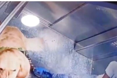 Caught On Cam | Dog-walker Hits Golden Retriever Inside Gurugram Apartment Lift
