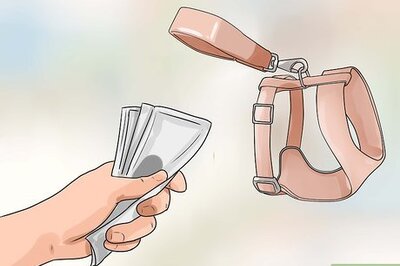 How to Put on a Puppy Harness