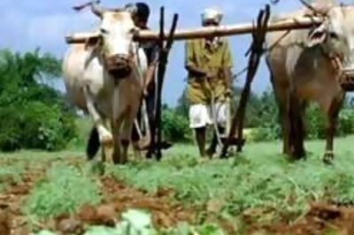 Farmer suicide: Prez's 'relative' ends life over loans