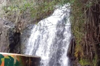 Tamil Nadu's Agasthiyar Falls Re-opened For Tourists After Tiger Census