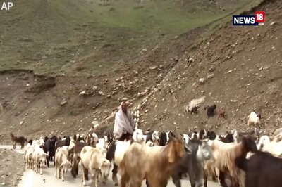 J&K Leader Asks PM Modi to Announce Special Package for Gujjar, Bakarwal Communities