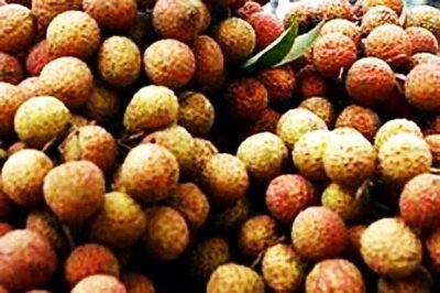 Litchis Behind Mysterious Child Deaths in Bihar, Says Study