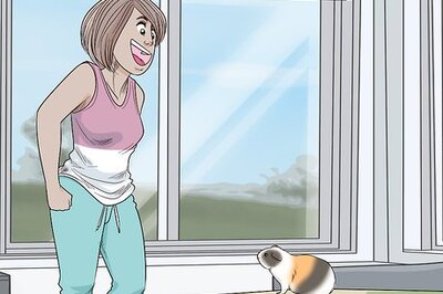 How to Avoid Scaring Your Guinea Pig