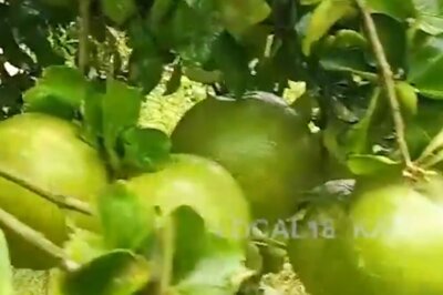 Karnataka Farmer's Unique Method Helps Him Boost Yield