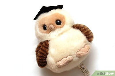 How to Love Your Stuffed Animal