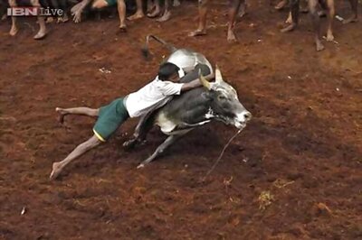 Centre promises Jallikattu gift for Pongal in an election year in Tamil Nadu