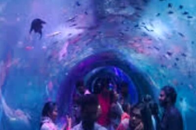 Grand Marine Expo In Coimbatore Offers Ferris Wheel And 3D Exhibition Arena