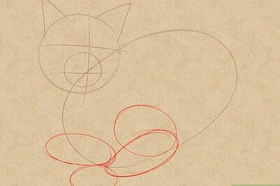 How to Draw a Realistic Cat's Face