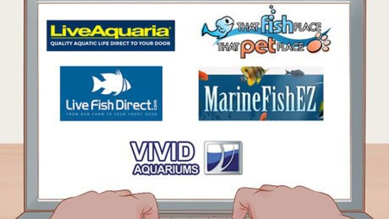 How to Buy Fish Online