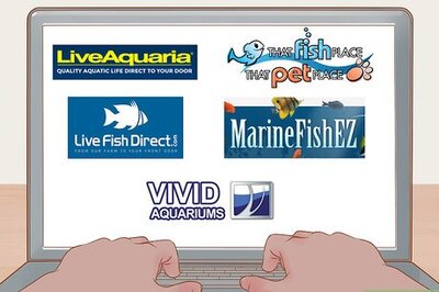 How to Buy Fish Online