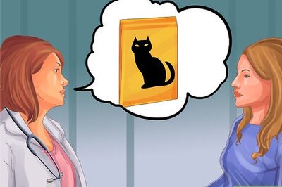 How to Tube Feed a Cat