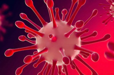 COVID-19: Include These 5 Foods in Your Diet that Boost Immunity