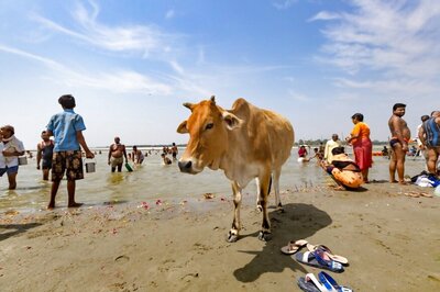 Water Quality Of Ganga, Four Other Major Rivers Deteriorated During Lockdown: CPCB Report
