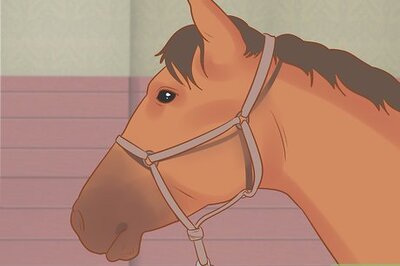 How to Tack Up Using English Tack