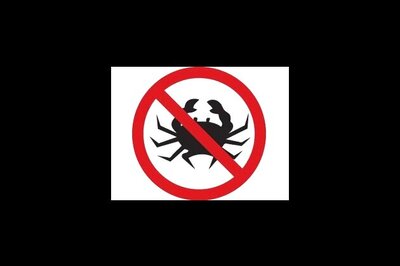 Synthetic drug shows promise in brain cancer