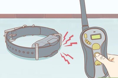 How to Use a Pager Collar