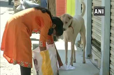 Caring for the Unloved: This Hyderabad Woman Has Taken it Upon Herself to Feed, Heal Strays