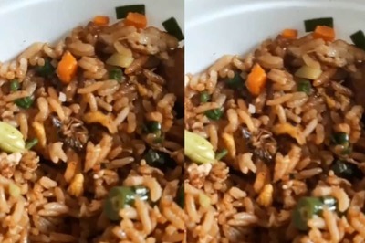 Bengaluru Woman Disgusted After Finding Cockroach In Zomato Order, Company Responds