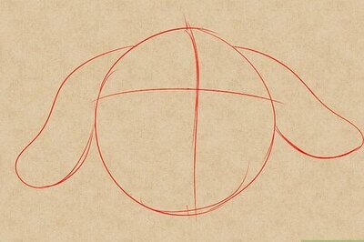 How to Draw a Dog Face