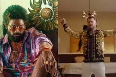 Allu Arjun Reacts As David Warner Channels His Inner 'Pushpa' In New Viral Video | Watch