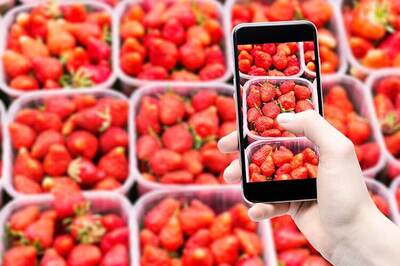 Watch: All that you need to know about smartphone camera quality