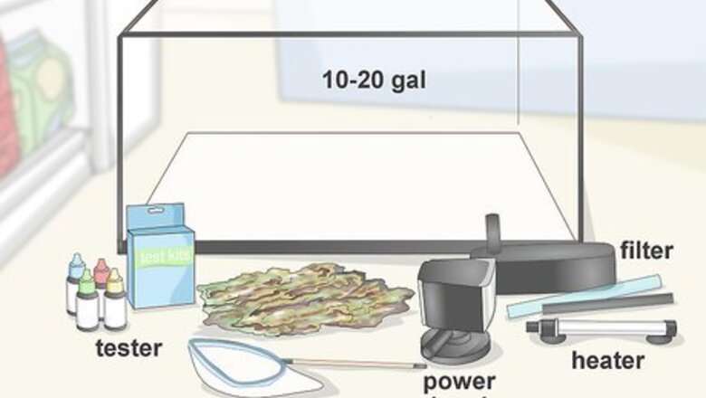 How to Quarantine Freshwater Fish