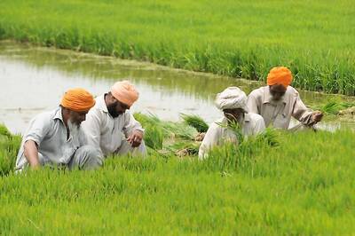 Biggest-Ever MSP for Paddy, Pulses in the Wait-List