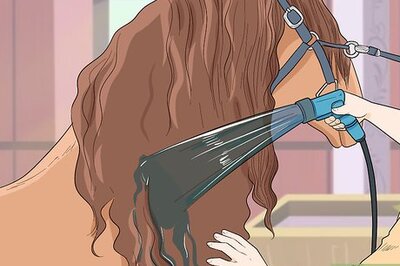 How to Braid a Horse's Mane