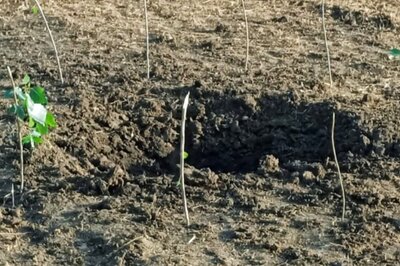 EXCLUSIVE | IED Blast, Fidayeen, Local OGWs: Security Establishment's Race Against Time to Secure PM Rally