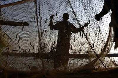 Exotic species threaten Kerala's fish bio-diversity