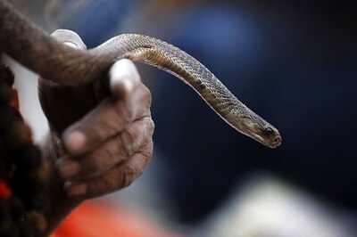 Kerala Man Hires Cobra to Bite Wife & Kill Her, Parents' Suspicion Leads to His Arrest