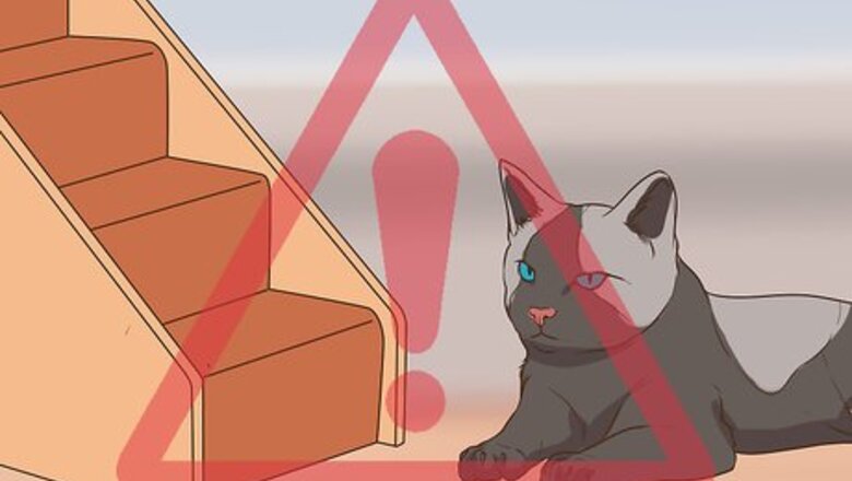 How to Watch for Common Senior Cat Health Issues