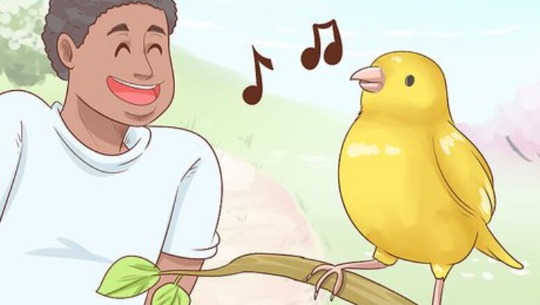 How to Know if a Canary Is Right for You