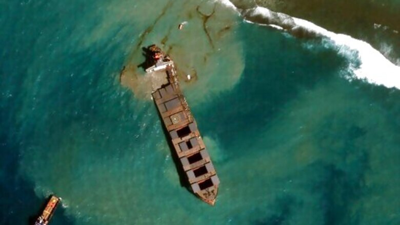 14 Dolphins Die In Mauritius Near Japanese Ship's Oil Spill
