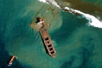 14 Dolphins Die In Mauritius Near Japanese Ship's Oil Spill