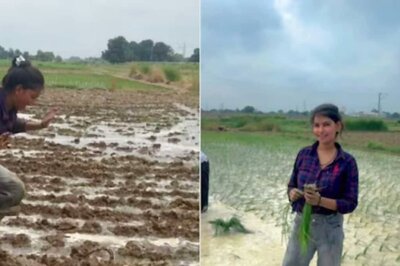 Watch: Girl Tries To Catch A Python With Bare Hands And Then This Happened