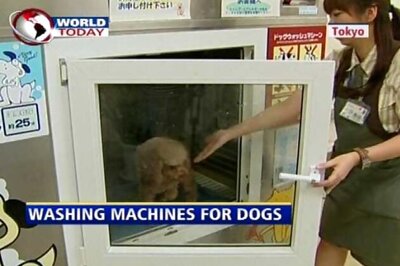 Dog-O-Matic: A washing machine for canines