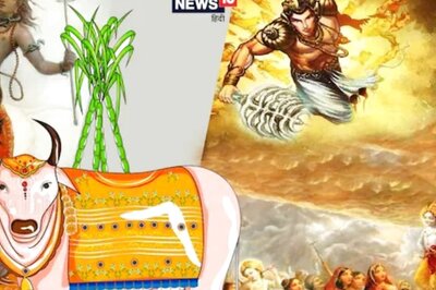 Pongal 2022: How Lord Shiva's Bull Conveyed an Opposite Message, Got Cursed