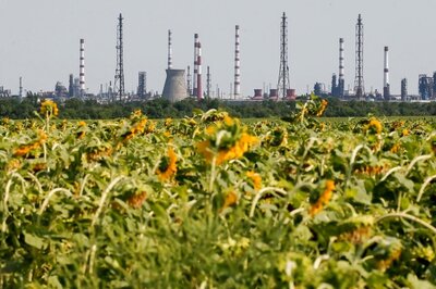 India Stops Buying Sunflower Oil as Ukraine Conflict Maroons Shipments -Dealers