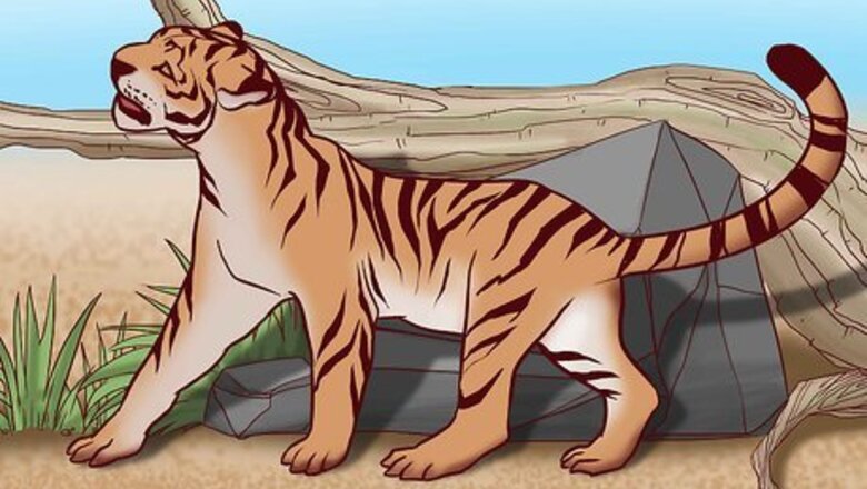 How to Identify Feline Species by Fur