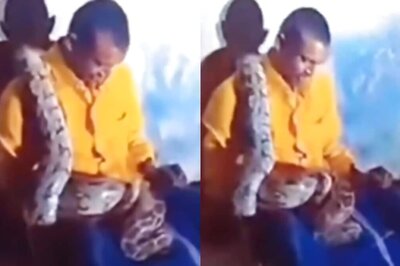 Watch: Python Coils Around Drunk Man In Andhra Pradesh, Villagers Rush To Save Him