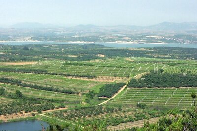 China Chosen For Prestigious Wine Contest in 2018